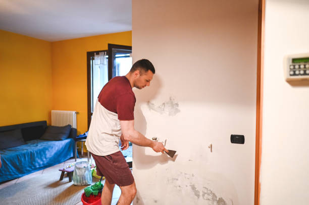 Best Certified Mold Removal  in Ash Grove, MO